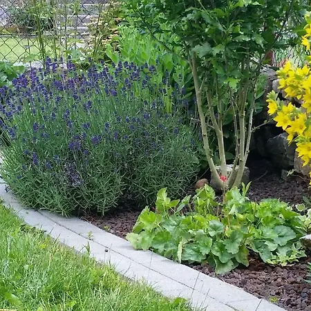 Apartamento Moderne In Perfekter Lage *