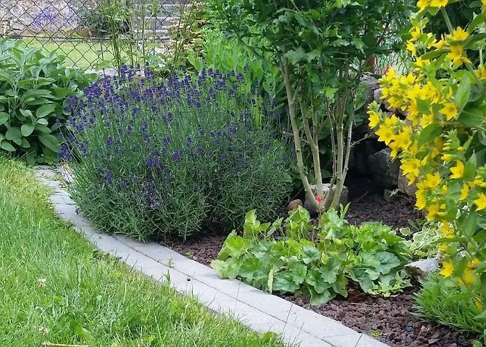 公寓 Moderne In Perfekter Lage *